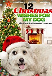 12 Wishes Of Christmas