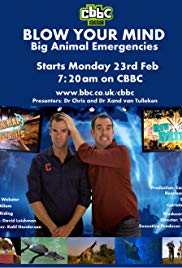 Big Animal Surgery