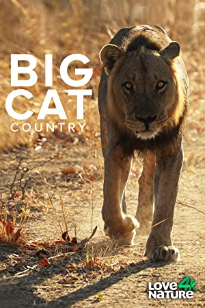 Big Cat Country