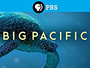 Big Pacific