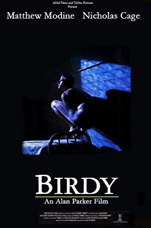 Birdy