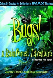 Bugs! A Rainforest Adventure