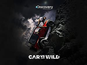 Car vs Wild