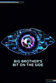 Celebrity Big Brothers Bit On The Side