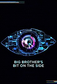 Celebrity Big Brothers Bit On The Side