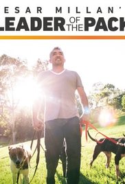 Cesar Millan: Auf den Hund gekommen