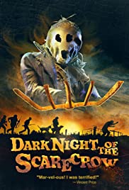Die Nacht der Vogelscheuche