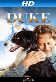 Ein Hund namens Duke