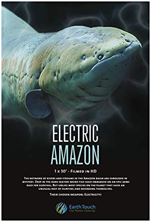 Electric Amazon