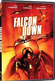 Falcon Down - Todesflug ins Eismeer