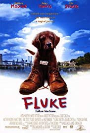 Fluke - Ein Hund räumt auf
