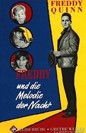 Freddy und die Melodie der Nacht