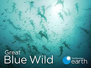 Great Blue Wild