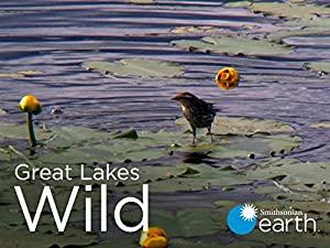 Great Lakes Wild