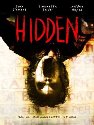 Hidden 3D