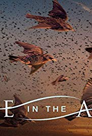 Life in the Air