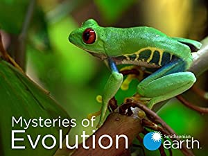 Mysteries of Evolution