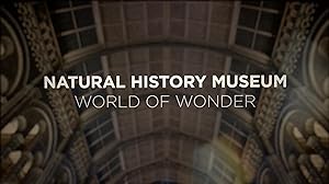 Natural History Museum: World of Wonder