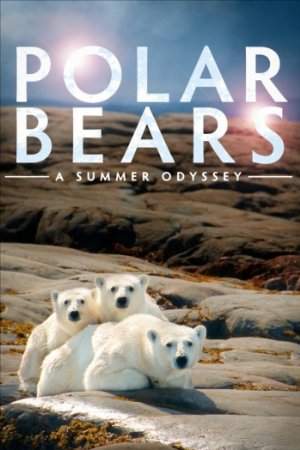 Polar Bears: A Summer Odyssey