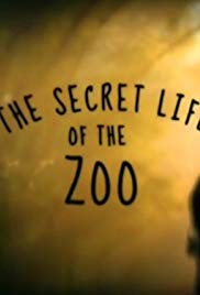 Secrets of the Zoo