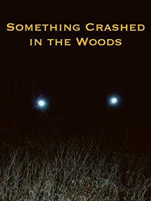 Something Crashed in the Woods