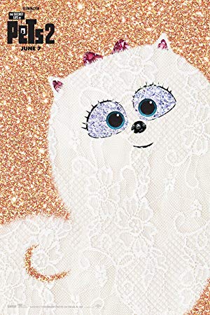 Super Gidget