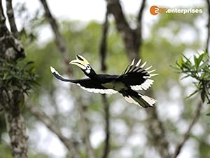 The Amazon Of The East