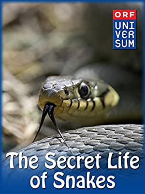 The Secret Life of Snakes