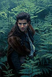 Thieves of the Wood