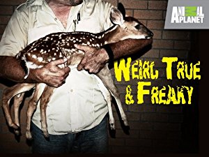 Weird, True & Freaky