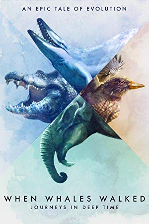 When Whales Walked Journeys in Deep Time