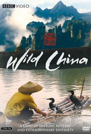 Wildes China