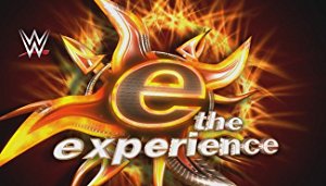 WWE - Experience